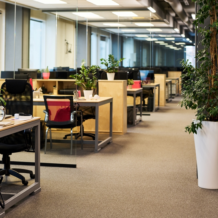 Emma Sonberg - Aramark, Gustavus, Alaska